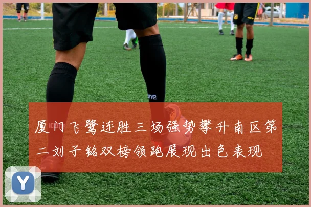 厦门飞鹭连胜三场强势攀升南区第二刘子铭双榜领跑展现出色表现